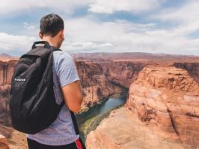Man looking into a canyon.