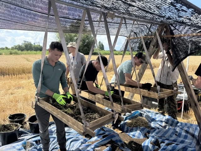 Six men work under a sun shade in a farmland area