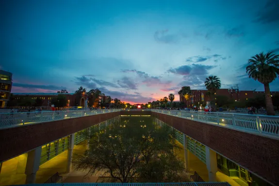 Buildings on UA mall